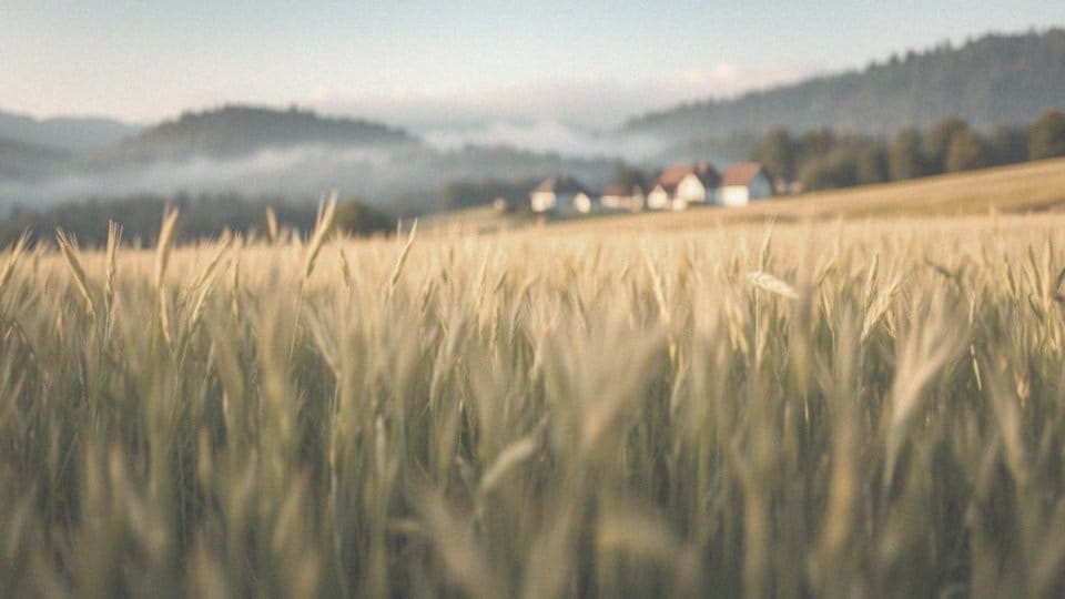 Jakie efekty daje obiektyw 75-300 mm w porównaniu do innych obiektywów?