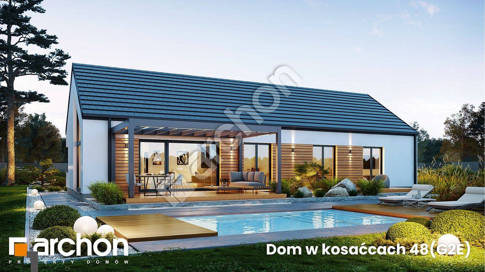 Dom w kosaćcach 48(G2E)_basen.jpg