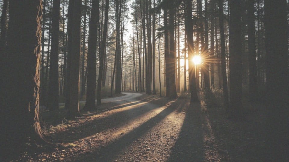 Jak żyć bez lęku? Praktyczne strategie na odzyskanie kontroli