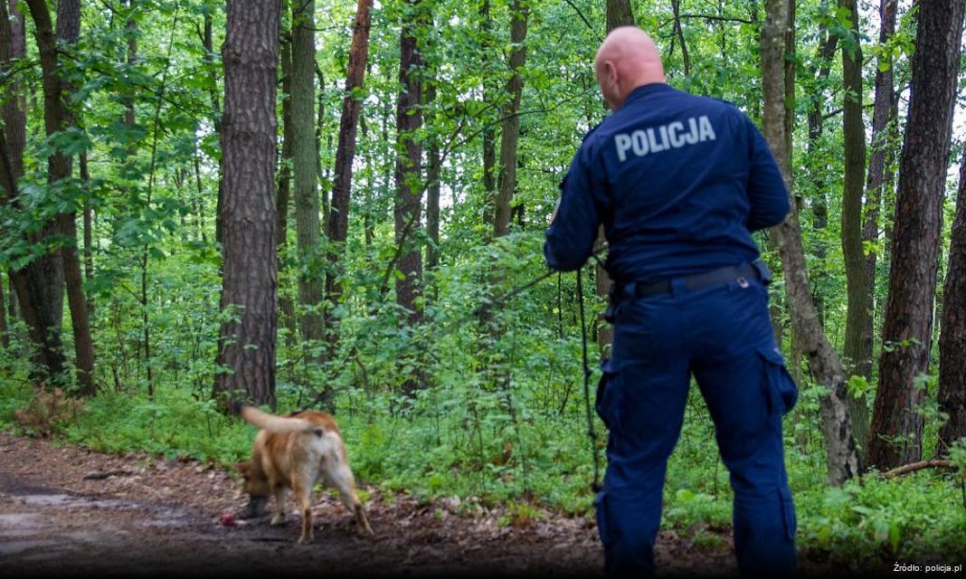 Podsumowanie Sylwestrowej Nocy w Powiecie Kluczborskim