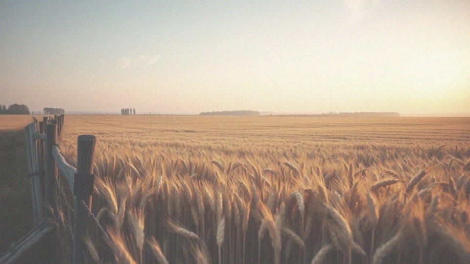 Niech się dzieje wola nieba – znaczenie i wpływ na życie bohaterów