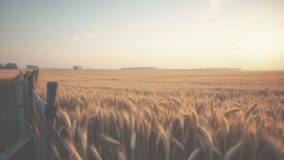 Niech się dzieje wola nieba – znaczenie i wpływ na życie bohaterów