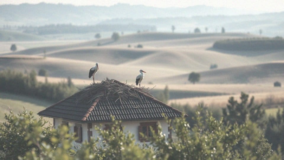 Obiektyw 75-300 do jakich zdjęć? Odkryj jego możliwości