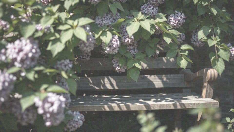 Półpasiec czy można chodzić po dworze? Ważne informacje i zalecenia